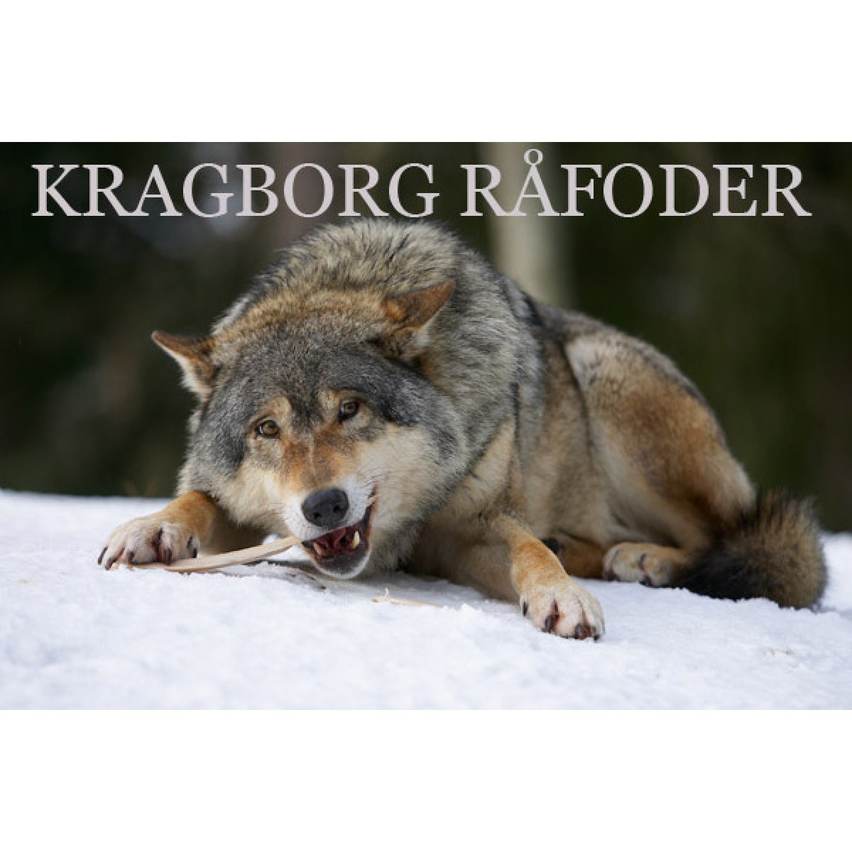 Kragborg