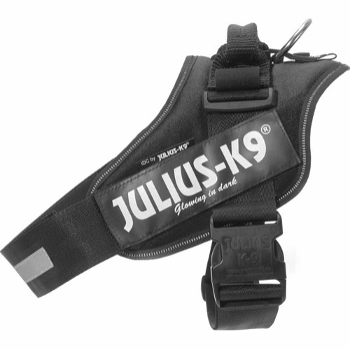 JuliusK9Str4-01