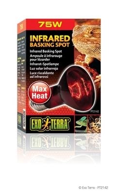 HEATGLOINFRARDSPOT75W-31