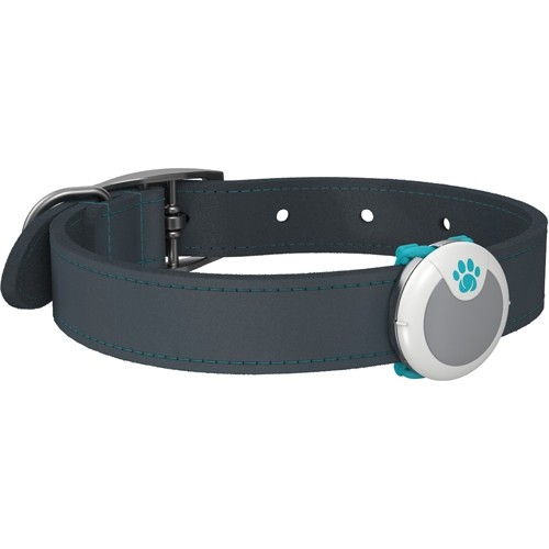 DOGANIMOBEHAVIORALMONITOR-31