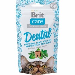 BritCareKatDental-20