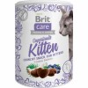 BritCareSnackKitten100g-01