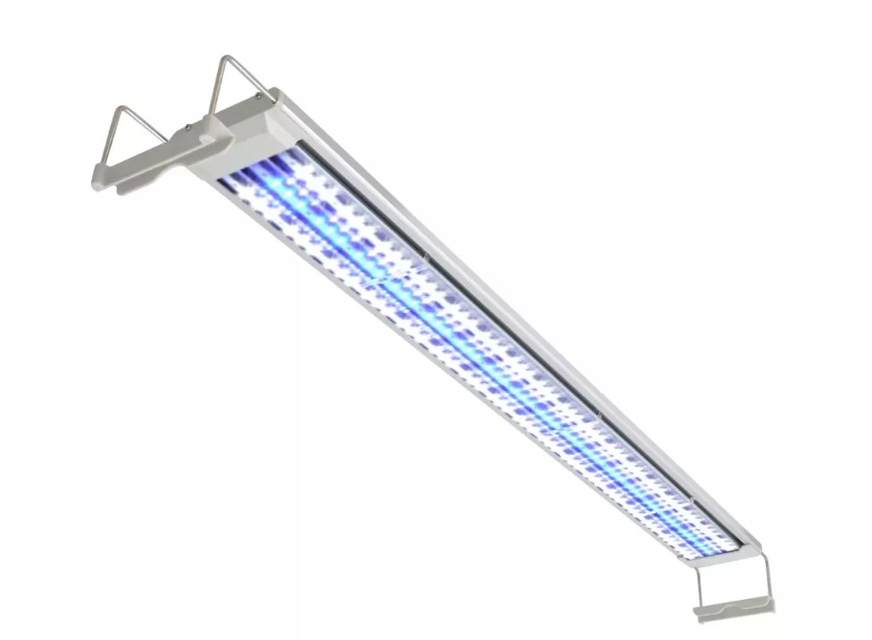 Skeptisk Almindelig Monetære LED-belysning til akvariet | Energivenlig akvarielys → Avifauna